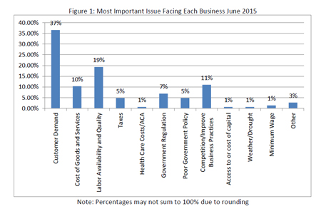 Most important issues facing each business, May 2015