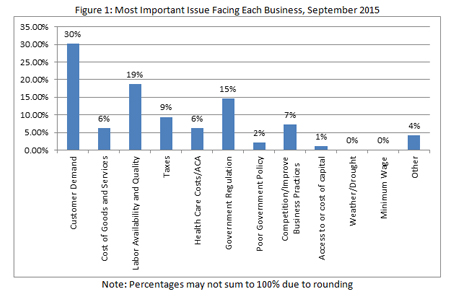 Most important issues facing each business, September 2015