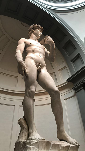 A close up picture of Michelangelo's Marble statue of David, before his battle with Goliath.