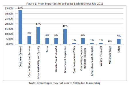 Most important issues facing each business, July 2015