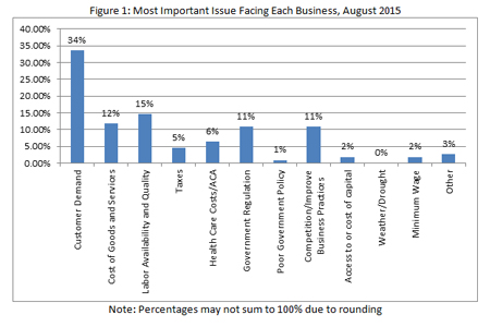 Most important issues facing each business, August 2015