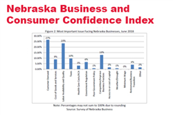 June Surveys: Business Confidence Surges in Nebraska