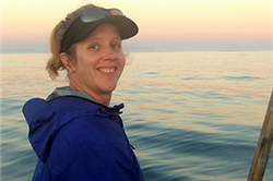 Diving Into the Business of Great White Sharks