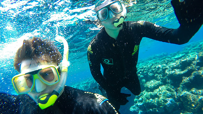 Students scuba diving