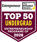 princeton review entrepreneurship