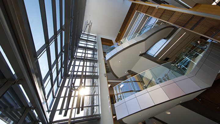 College of Business
