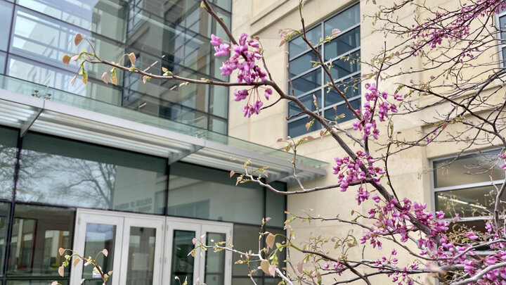 College of Business Building
